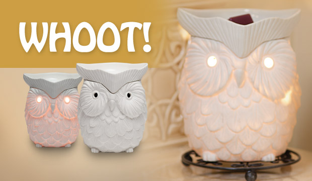 Whoot scentsy deals warmer