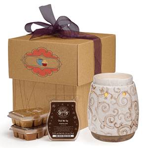 Scentsy Gift Bundle