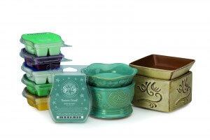 Scentsy Multipack