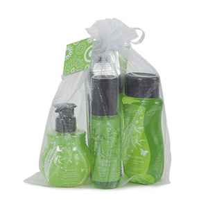 scentsy layers summer products