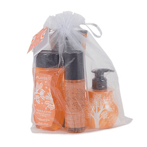Scentsy summer body bundle