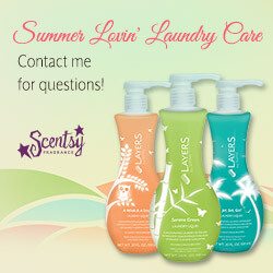 Download Summer Lovin Scentsy Laundry Care Bundles Nowickchilly