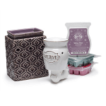 Deluxe Scentsy Pack