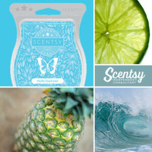 Social-Pacific-Daydream-scentsy scent