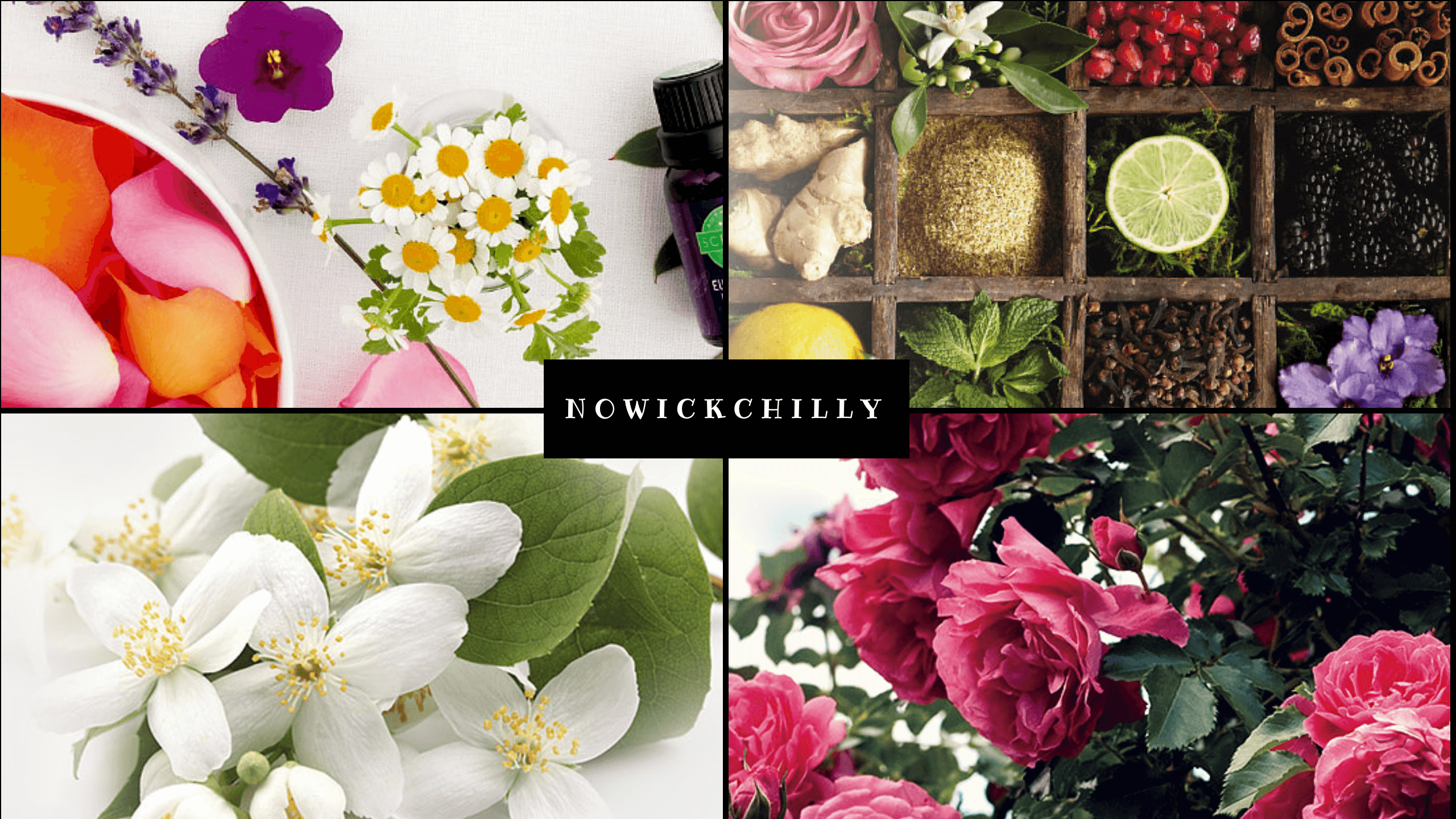 NoWickChilly youtube cover Scentsy Consultant